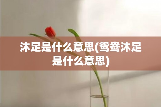 沐足是什么意思(鸳鸯沐足是什么意思)