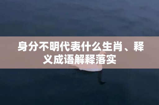  身分不明代表什么生肖、释义成语解释落实