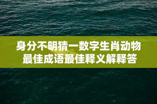 身分不明猜一数字生肖动物 最佳成语最佳释义解释答