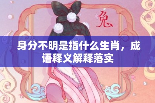 身分不明是指什么生肖，成语释义解释落实