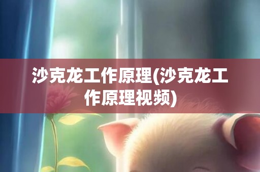 沙克龙工作原理(沙克龙工作原理视频)