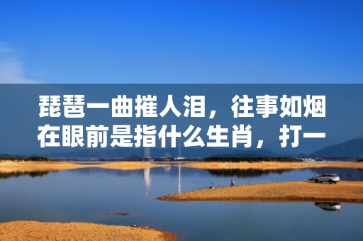 琵琶一曲摧人泪，往事如烟在眼前是指什么生肖，打一最佳生肖；成语释义解释落实