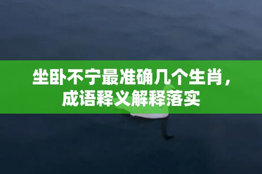 坐卧不宁最准确几个生肖，成语释义解释落实