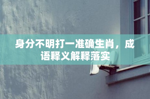 身分不明打一准确生肖，成语释义解释落实