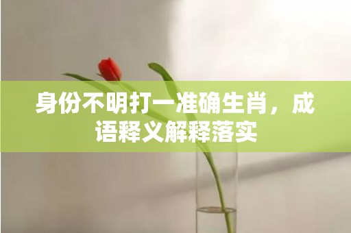 身份不明打一准确生肖，成语释义解释落实