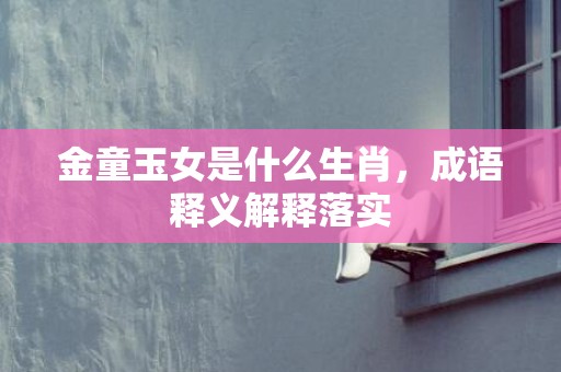 金童玉女是什么生肖，成语释义解释落实
