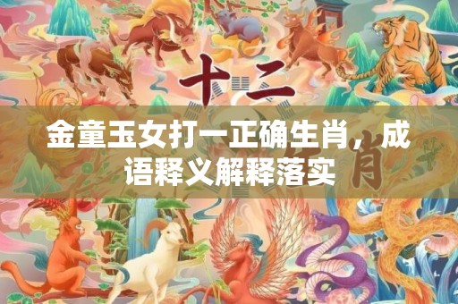 金童玉女打一正确生肖，成语释义解释落实