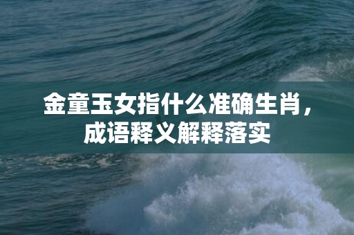 金童玉女指什么准确生肖，成语释义解释落实