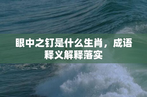 眼中之钉是什么生肖，成语释义解释落实