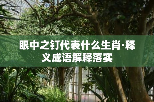 眼中之钉代表什么生肖·释义成语解释落实