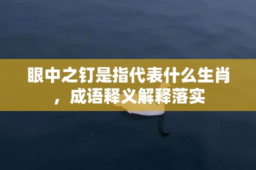 眼中之钉是指代表什么生肖，成语释义解释落实