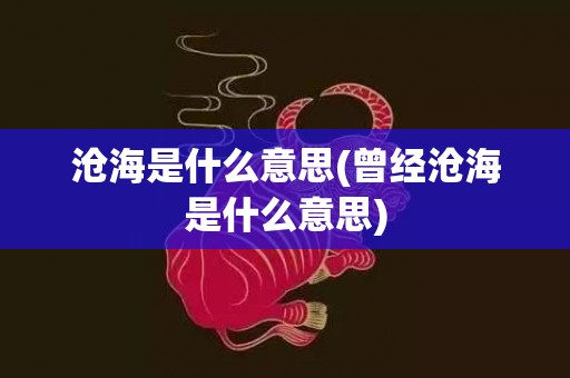 沧海是什么意思(曾经沧海是什么意思)