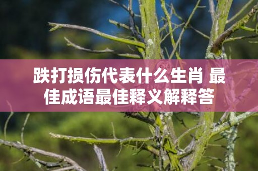 跌打损伤代表什么生肖 最佳成语最佳释义解释答