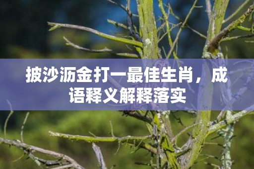 披沙沥金打一最佳生肖，成语释义解释落实