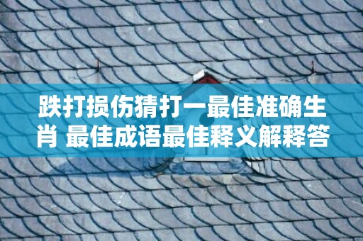 跌打损伤猜打一最佳准确生肖 最佳成语最佳释义解释答