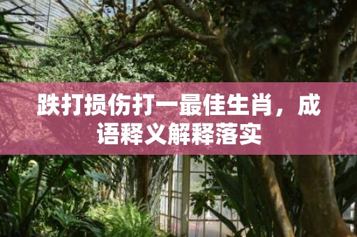 跌打损伤打一最佳生肖，成语释义解释落实