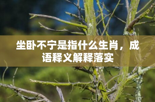 坐卧不宁是指什么生肖，成语释义解释落实