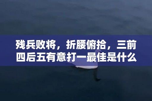 残兵败将，折腰俯拾，三前四后五有意打一最佳是什么生肖,释义成语解释落实