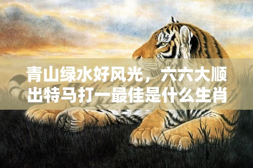 青山绿水好风光，六六大顺出特马打一最佳是什么生肖,释义成语解释落实