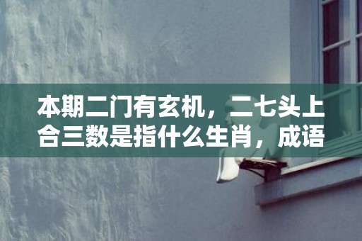 本期二门有玄机，二七头上合三数是指什么生肖，成语释义解释落实