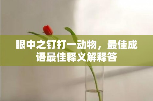 眼中之钉打一动物，最佳成语最佳释义解释答