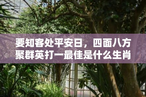 要知客处平安日，四面八方聚群英打一最佳是什么生肖,释义成语解释落实