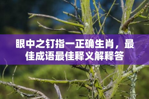 眼中之钉指一正确生肖，最佳成语最佳释义解释答
