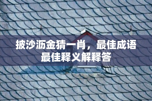 披沙沥金猜一肖，最佳成语最佳释义解释答