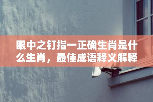 眼中之钉指一正确生肖是什么生肖，最佳成语释义解释落实