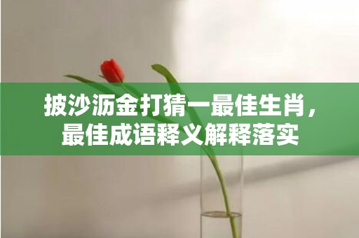 披沙沥金打猜一最佳生肖，最佳成语释义解释落实