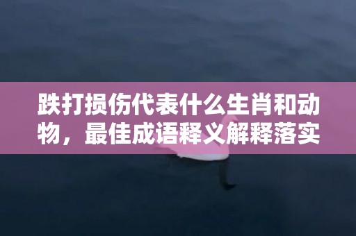 跌打损伤代表什么生肖和动物，最佳成语释义解释落实