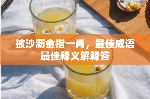 披沙沥金指一肖，最佳成语最佳释义解释答