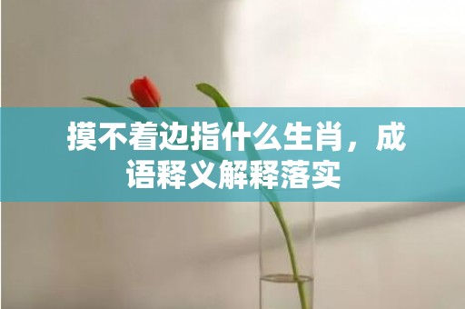  摸不着边指什么生肖，成语释义解释落实
