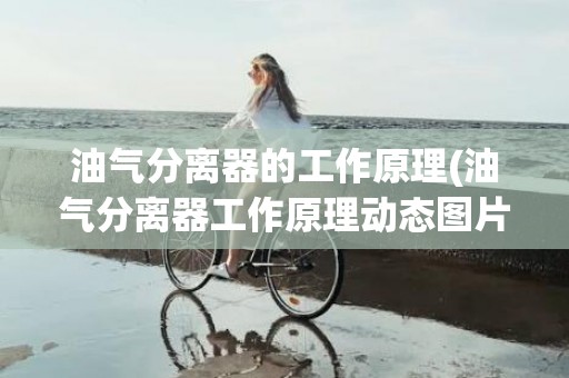 油气分离器的工作原理(油气分离器工作原理动态图片)