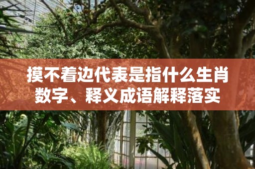 摸不着边代表是指什么生肖数字、释义成语解释落实