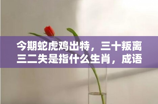 今期蛇虎鸡出特，三十叛离三二失是指什么生肖，成语释义解释落实