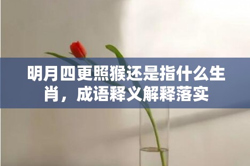 明月四更照猴还是指什么生肖，成语释义解释落实