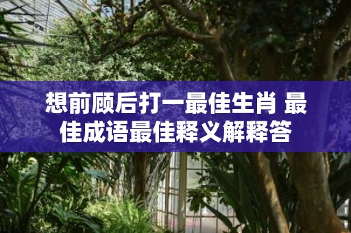 想前顾后打一最佳生肖 最佳成语最佳释义解释答