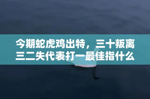 今期蛇虎鸡出特，三十叛离三二失代表打一最佳指什么生肖，成语释义解释落实