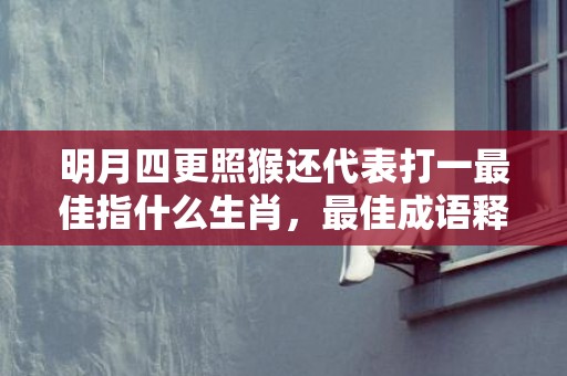 明月四更照猴还代表打一最佳指什么生肖，最佳成语释义解释落实