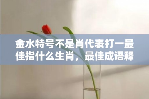 金水特号不是肖代表打一最佳指什么生肖，最佳成语释义解释落实