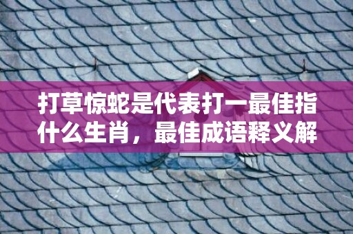 打草惊蛇是代表打一最佳指什么生肖，最佳成语释义解释落实
