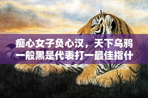 痴心女子负心汉，天下乌鸦一般黑是代表打一最佳指什么生肖，最佳成语释义解释落实