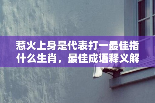 惹火上身是代表打一最佳指什么生肖，最佳成语释义解释落实