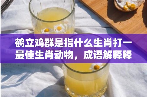 鹤立鸡群是指什么生肖打一最佳生肖动物，成语解释释义落实