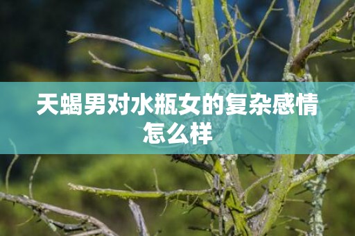 天蝎男对水瓶女的复杂感情怎么样