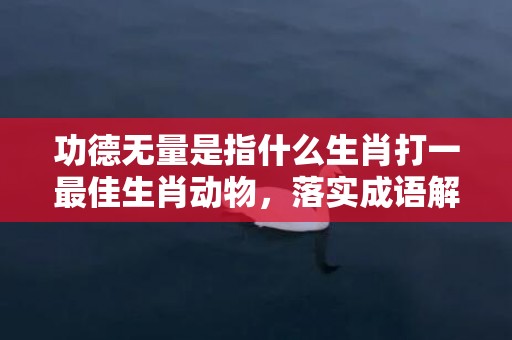 功德无量是指什么生肖打一最佳生肖动物，落实成语解释释义