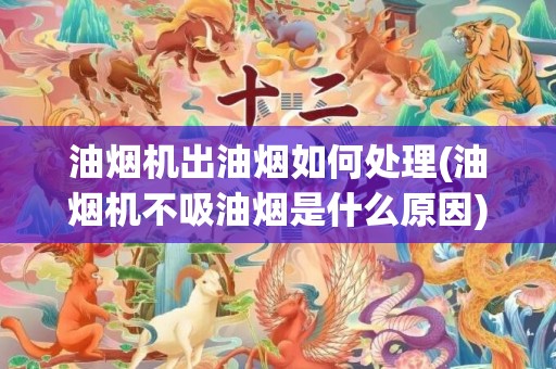油烟机出油烟如何处理(油烟机不吸油烟是什么原因)
