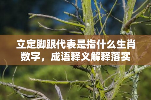 立定脚跟代表是指什么生肖数字，成语释义解释落实插图