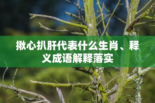 揪心扒肝代表什么生肖、释义成语解释落实